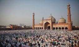 تمثيل المسلمين في الأدب الهندي :قراءة في روايتين باللغة المليالية في ولاية كيرالا بجنوب الهند.